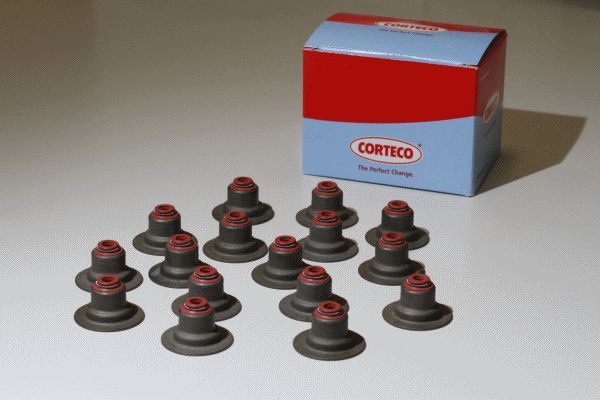 Corteco 19036008 -  -