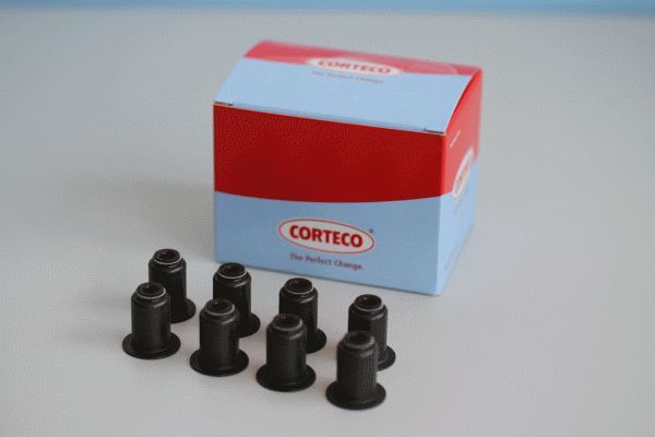 Corteco 19036091 -  -