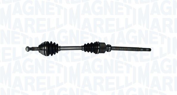 Magneti Marelli 302004190046