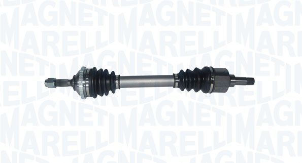 Magneti Marelli 302004190083