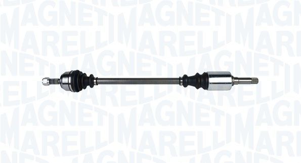 Magneti Marelli 302004190042