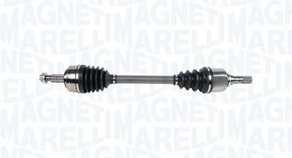 Magneti Marelli 302004190061