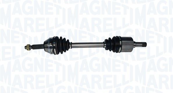 Magneti Marelli 302004190067