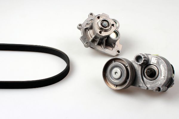 Hepu PK03631 -  -