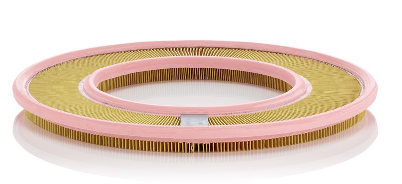 Mann-Filter C 4190/1