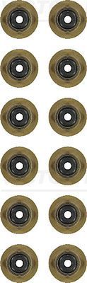 Reinz 12-54269-01 -  -