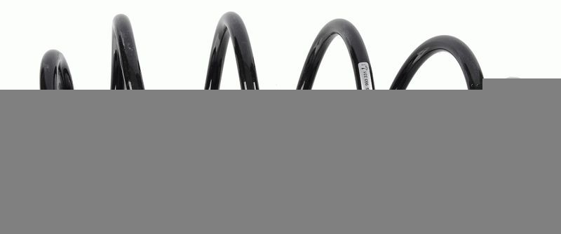 Sachs 993 331 - Pruženie -
