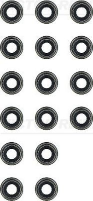 Reinz 12-52829-02 -  -