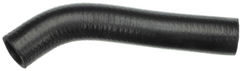 Gates 3281 -  -