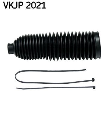 SKF VKJP 2021 -  -