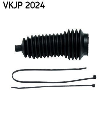 SKF VKJP 2024 -  -