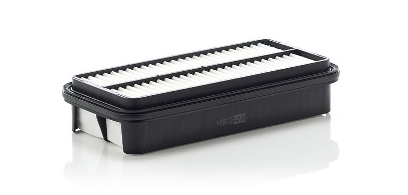 Mann-Filter C 2524