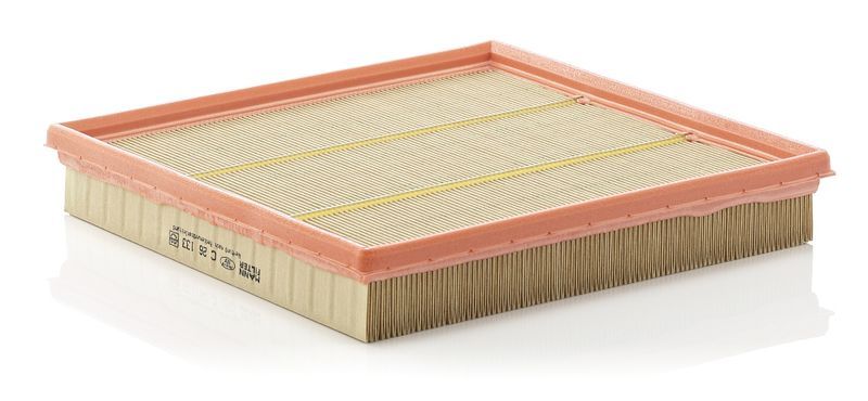 Mann-Filter C 26 133