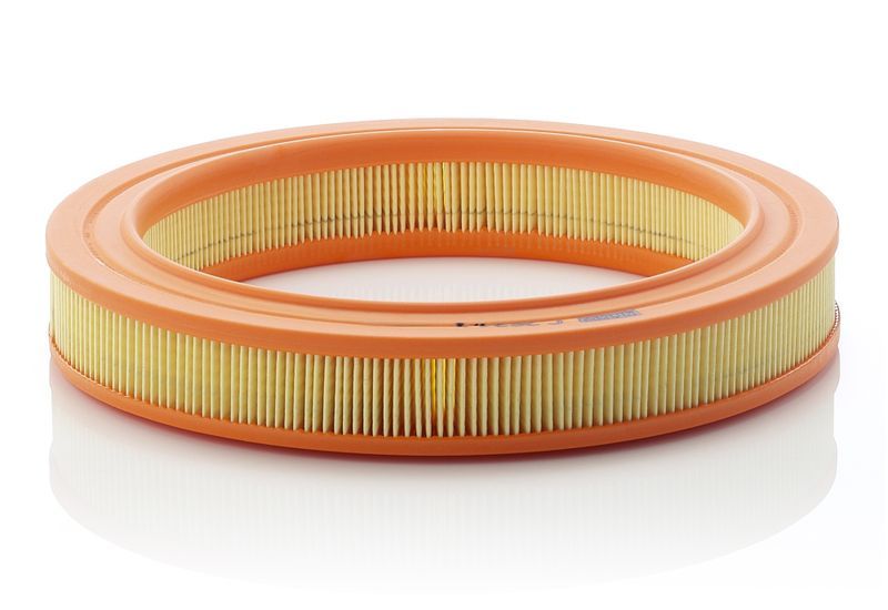 Mann-Filter C 2634/1