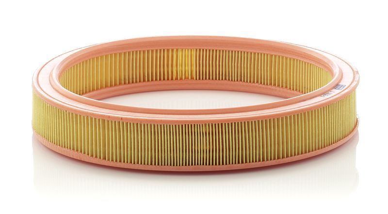 Mann-Filter C 3032/1