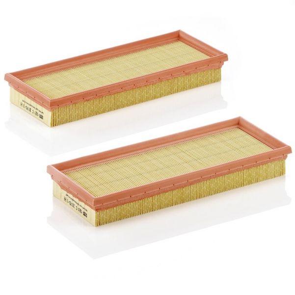 Mann-Filter C 3170/1-2