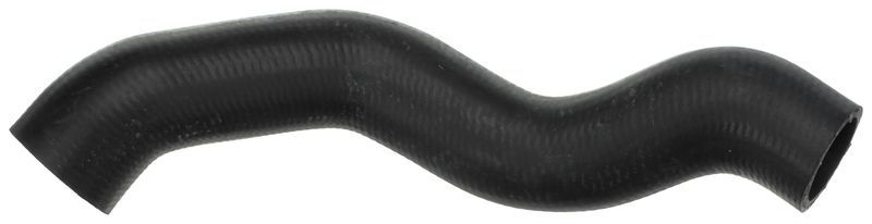 Gates 05-3367 -  -