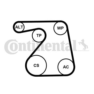 Contitech 6PK1360WP1 -  -