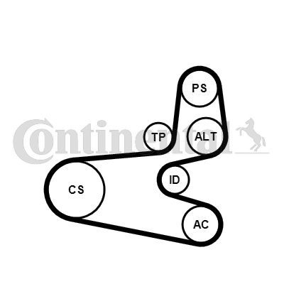 Contitech 6PK1560K1