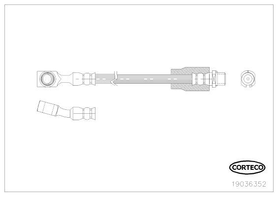 Corteco 19036352
