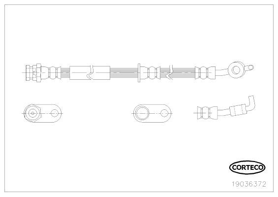 Corteco 19036372