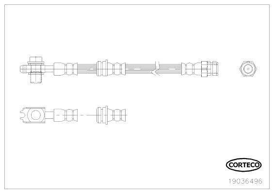 Corteco 19036496