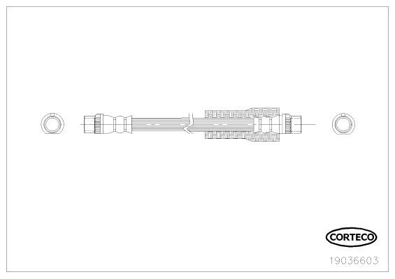 Corteco 19036603