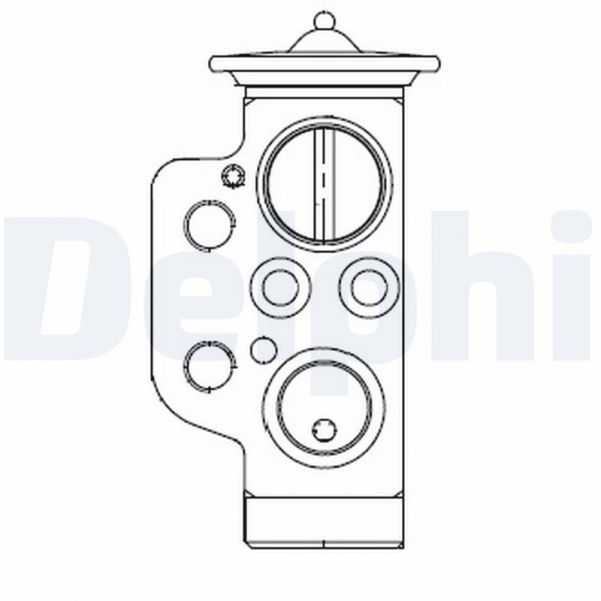 Delphi CB1009V