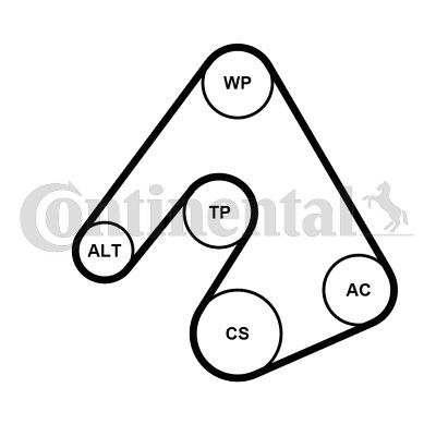 Contitech 5PK1207WP1 -  -
