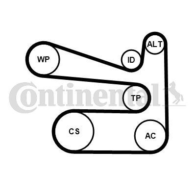 Contitech 6PK1693WP1 -  -