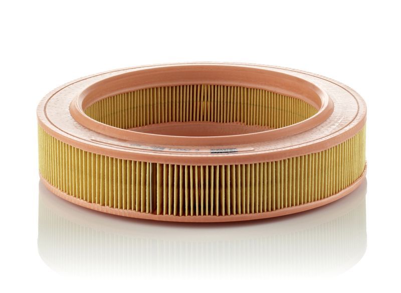 Mann-Filter C 2552/1