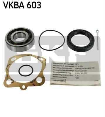 SKF VKBA603