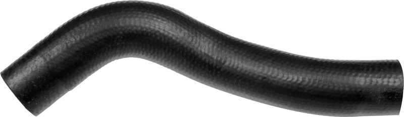 Gates 05-4131 -  -