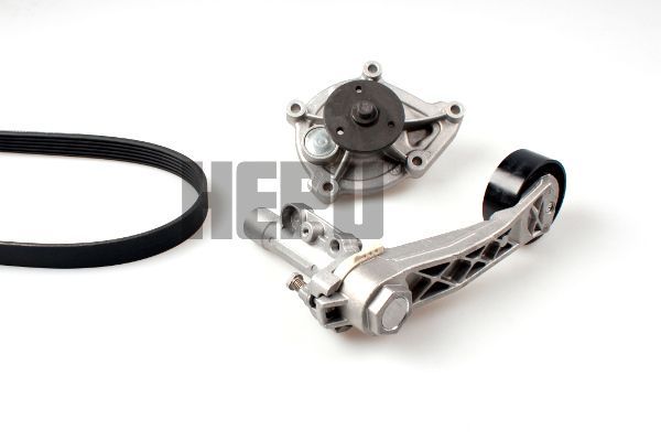 Hepu PK04951 -  -