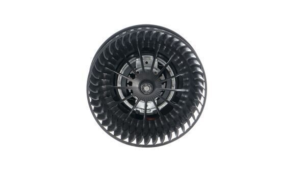Mahle AB 243 000P -  -