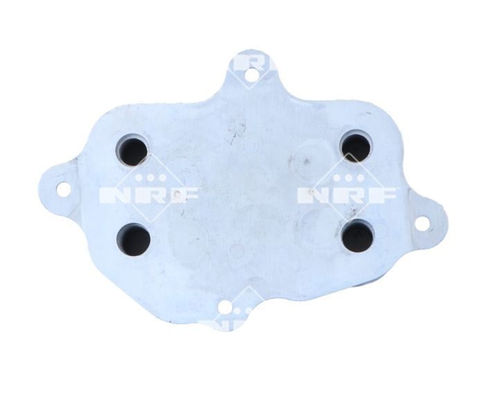 NRF 31866 -  -