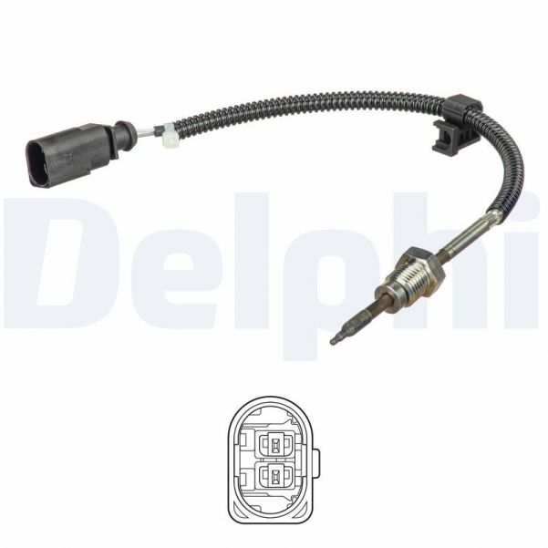 Delphi TS30258