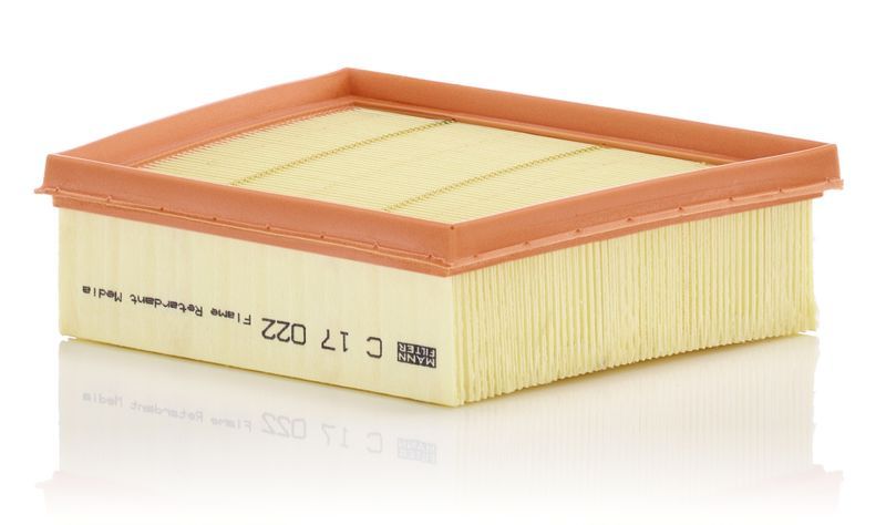 Mann-Filter C 17 022