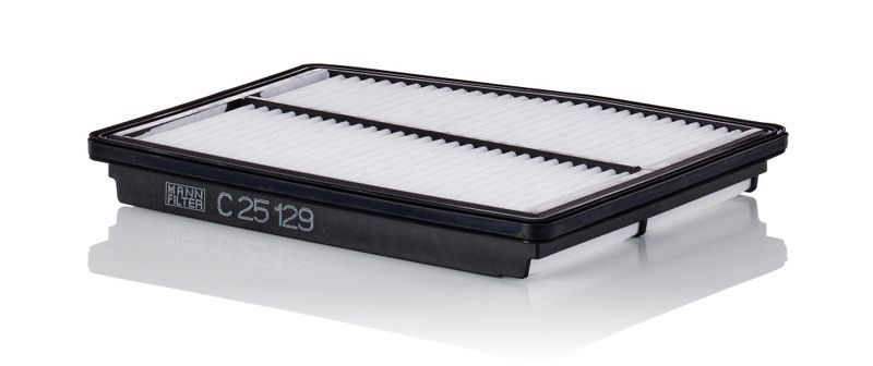 Mann-Filter C 25 129