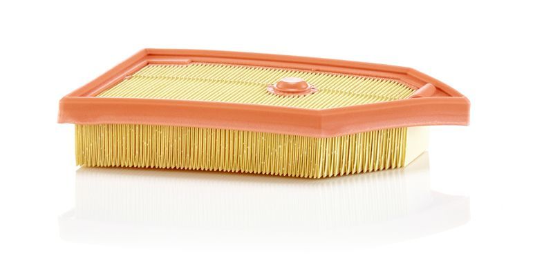 Mann-Filter C 26 040