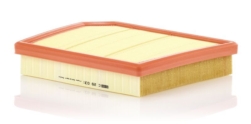Mann-Filter C 29 031