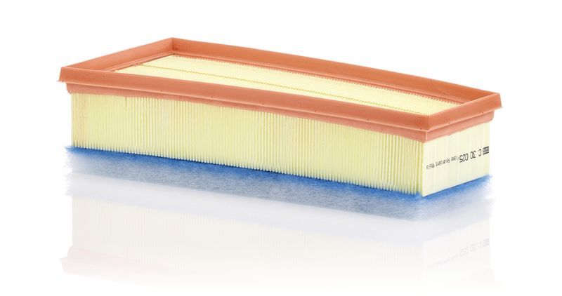 Mann-Filter C 30 025