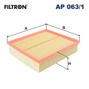 Filtron AP 063/1