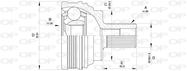 Open Parts CVJ5538.10