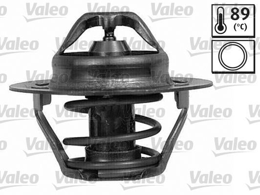 Valeo 820025