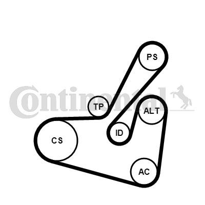 Contitech 6PK1750K1