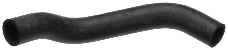 Gates 05-3817 -  -