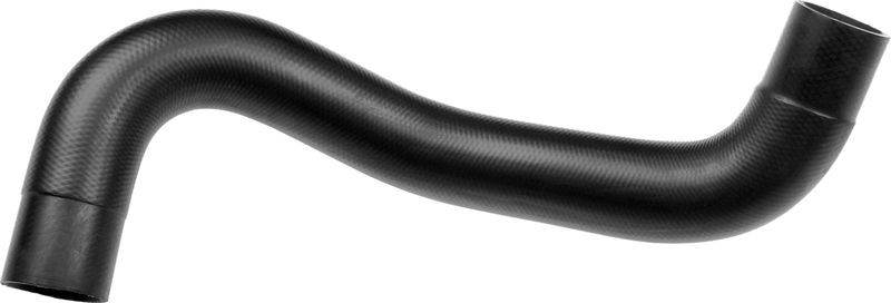 Gates 05-4436 -  -