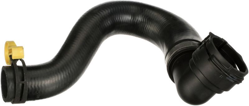 Gates 05-4699 -  -