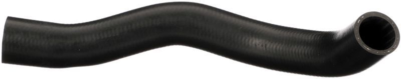 Gates 05-4815 -  -